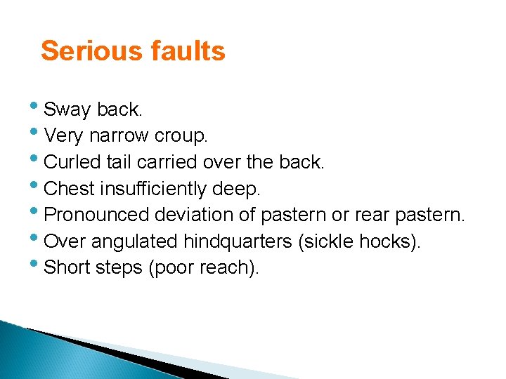 Serious faults • Sway back. • Very narrow croup. • Curled tail carried over