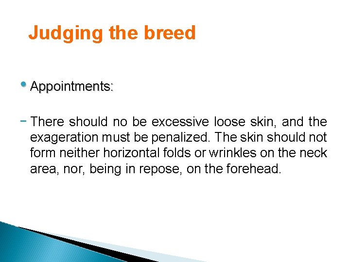 Judging the breed • Appointments: - There should no be excessive loose skin, and