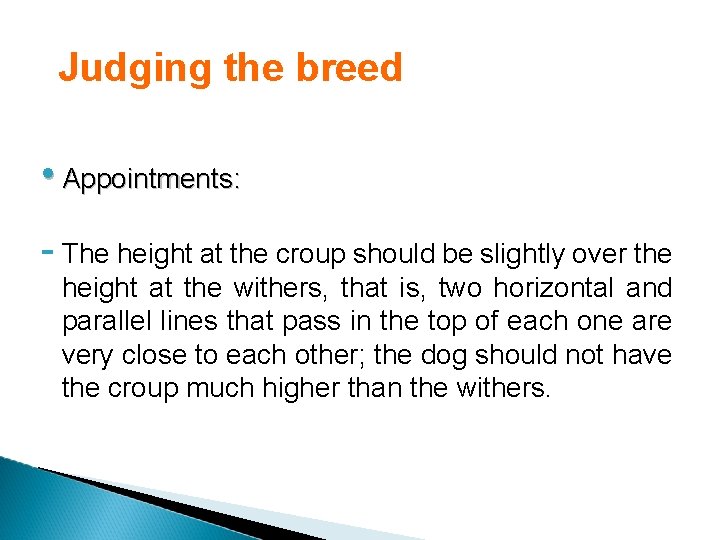 Judging the breed • Appointments: - The height at the croup should be slightly