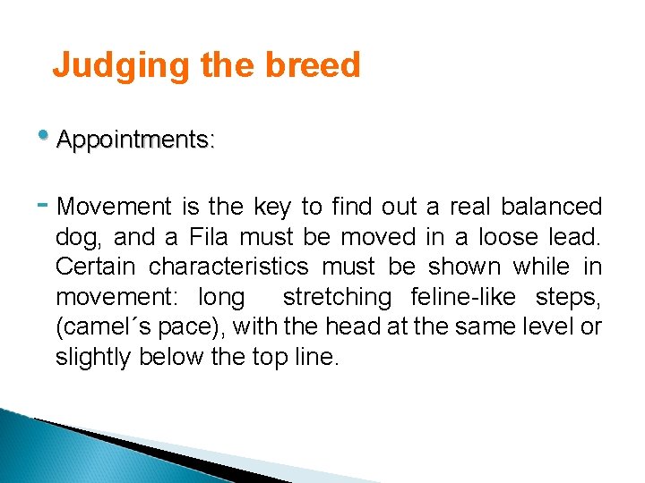 Judging the breed • Appointments: - Movement is the key to find out a