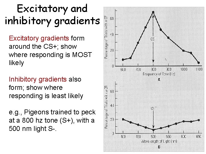 Excitatory and inhibitory gradients Excitatory gradients form around the CS+; show where responding is