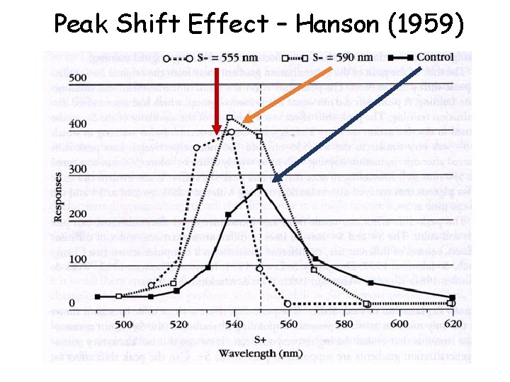 Peak Shift Effect – Hanson (1959) 