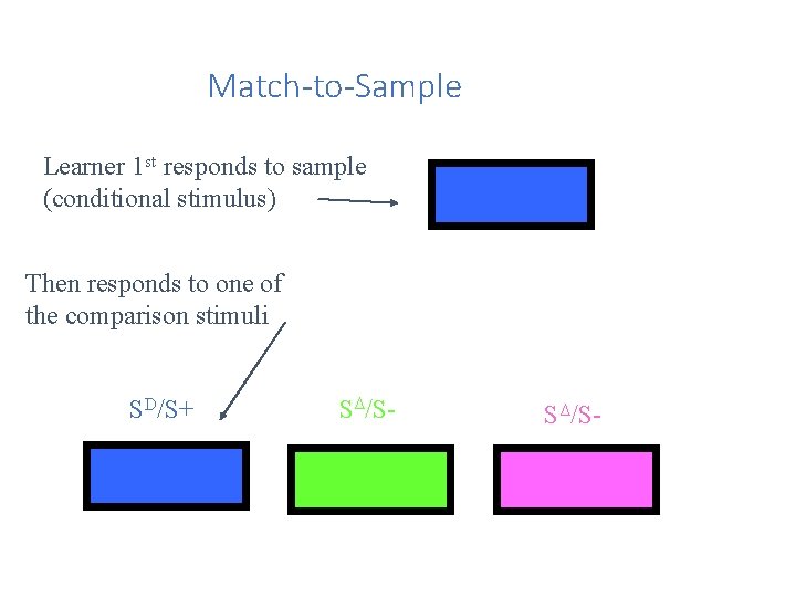 Match-to-Sample Learner 1 st responds to sample (conditional stimulus) Sample Then responds to one
