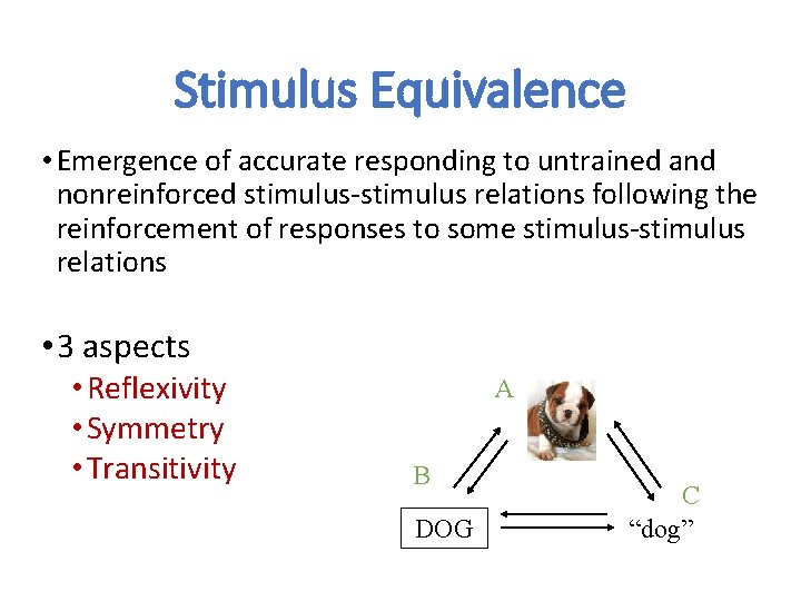 Stimulus Equivalence • Emergence of accurate responding to untrained and nonreinforced stimulus-stimulus relations following