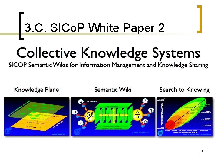 3. C. SICo. P White Paper 2 18 