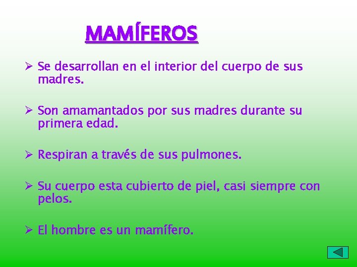 MAMÍFEROS Ø Se desarrollan en el interior del cuerpo de sus madres. Ø Son