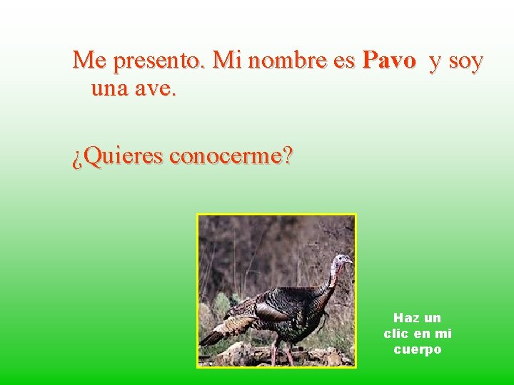 Me presento. Mi nombre es Pavo y soy una ave. ¿Quieres conocerme? Haz un