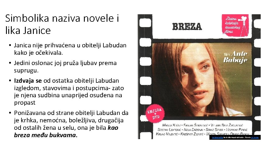 Simbolika naziva novele i lika Janice • Janica nije prihvaćena u obitelji Labudan kako