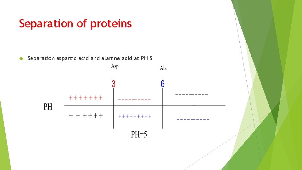 Separation of proteins Separation aspartic acid and alanine acid at PH 5 