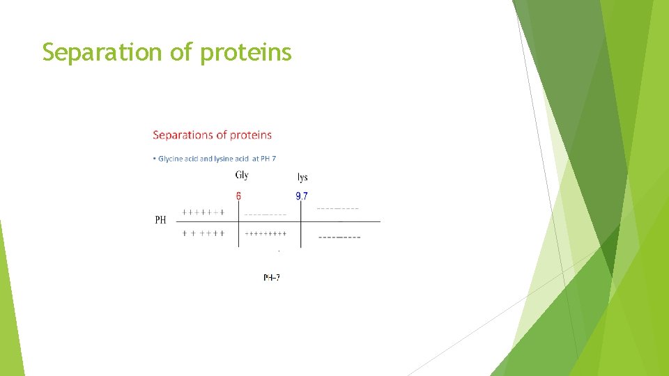 Separation of proteins 
