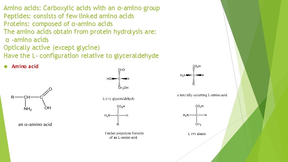 Amino acids: Carboxylic acids with an α–amino group Peptides: consists of few linked amino