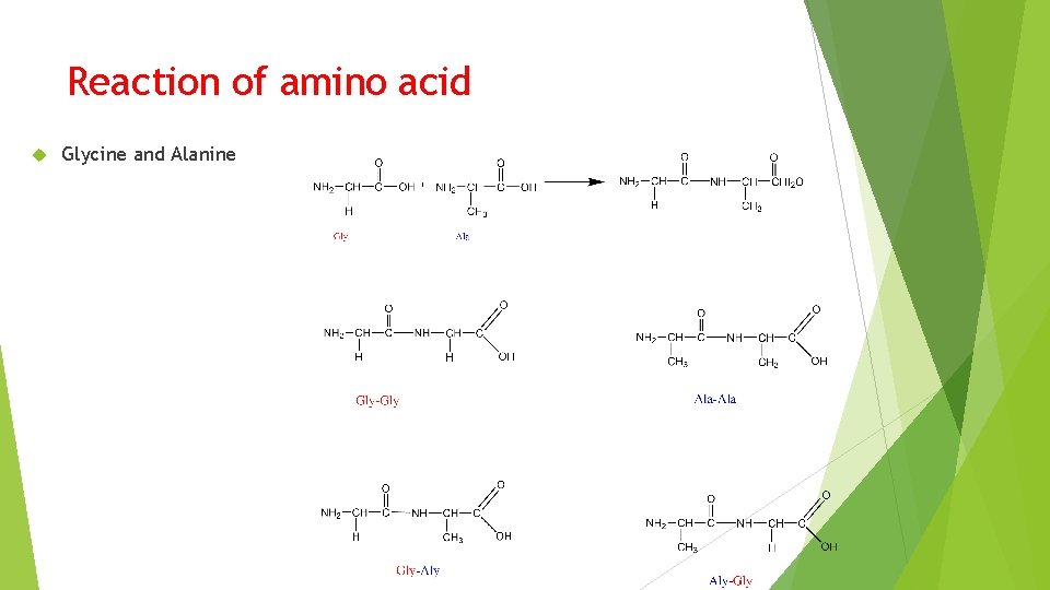 Reaction of amino acid Glycine and Alanine 
