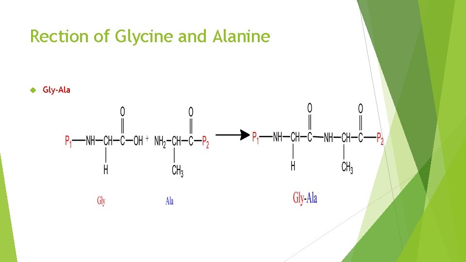 Rection of Glycine and Alanine Gly-Ala 
