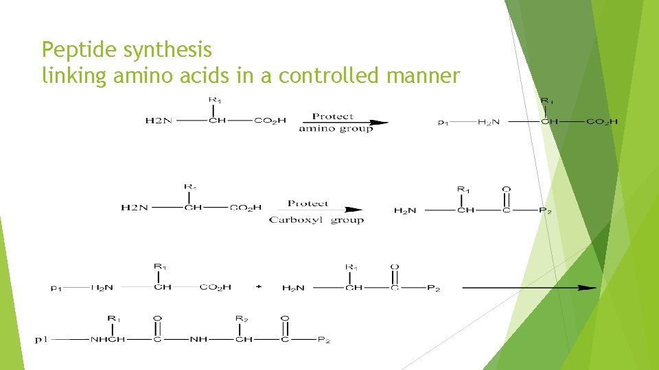 Peptide synthesis linking amino acids in a controlled manner 