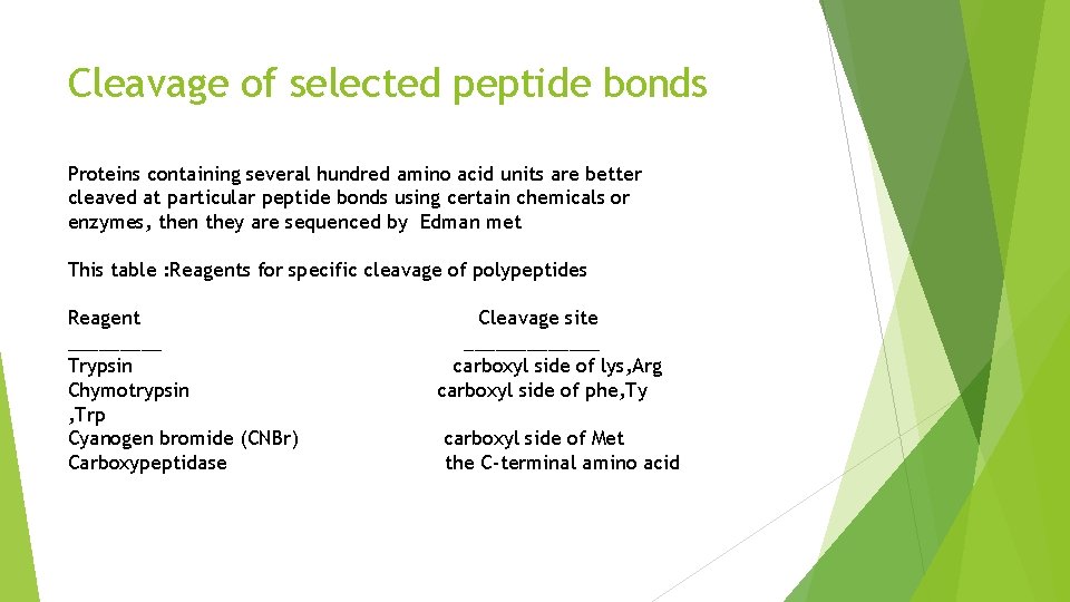 Cleavage of selected peptide bonds Proteins containing several hundred amino acid units are better
