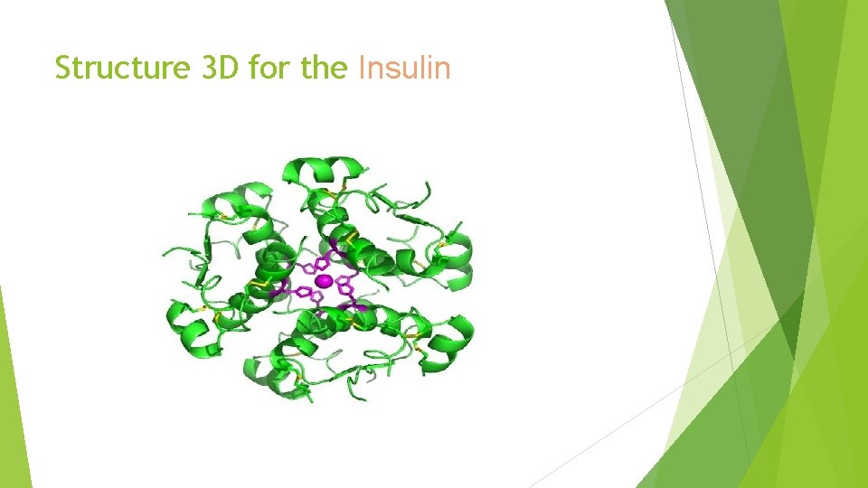Structure 3 D for the Insulin 