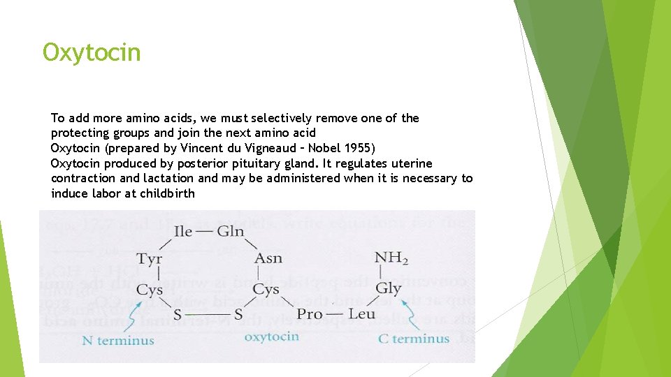 Oxytocin To add more amino acids, we must selectively remove one of the protecting