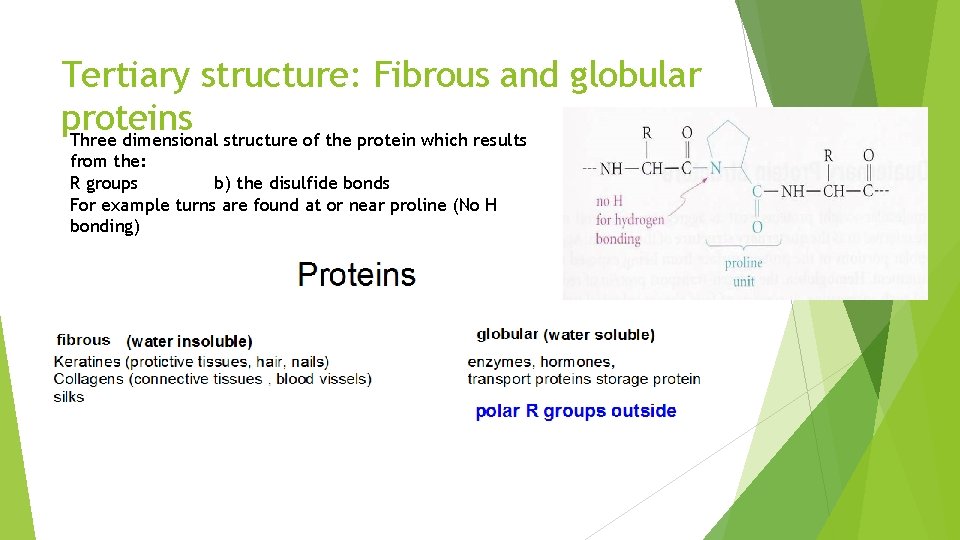 Tertiary structure: Fibrous and globular proteins Three dimensional structure of the protein which results