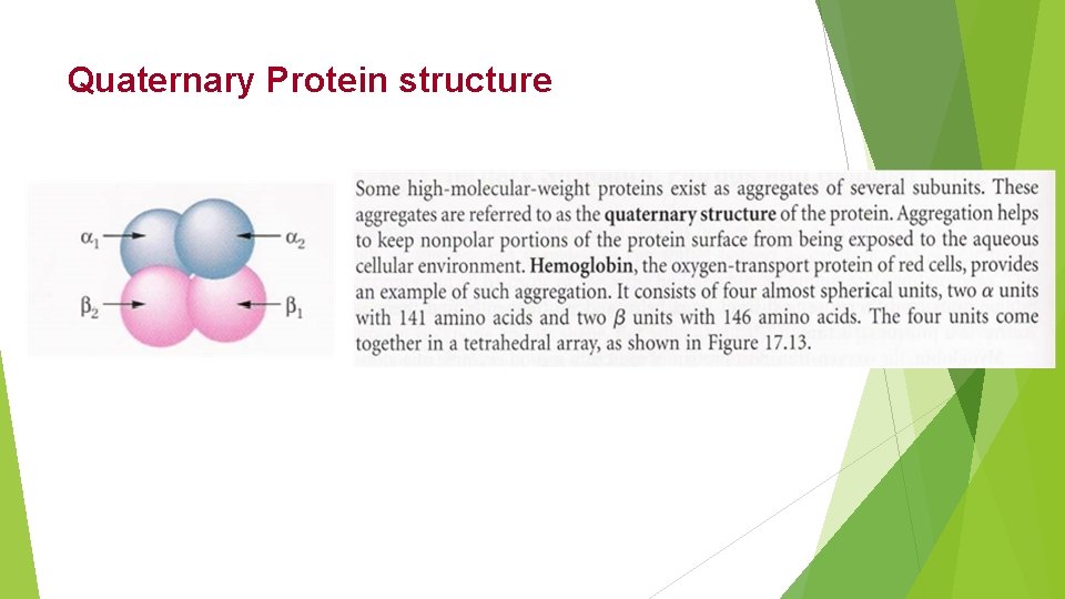 Quaternary Protein structure 