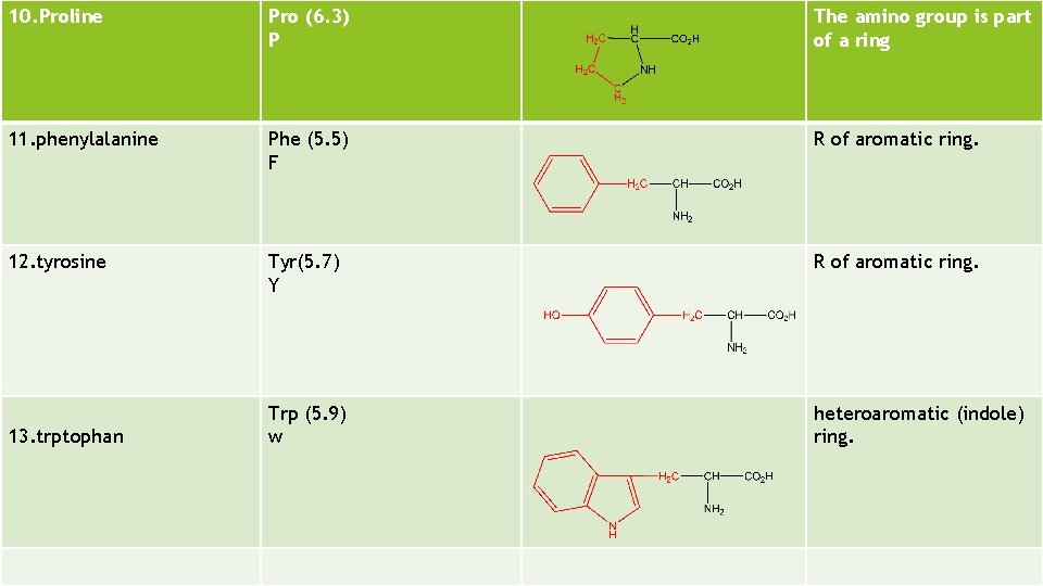 10. Proline Pro (6. 3) P The amino group is part of a ring