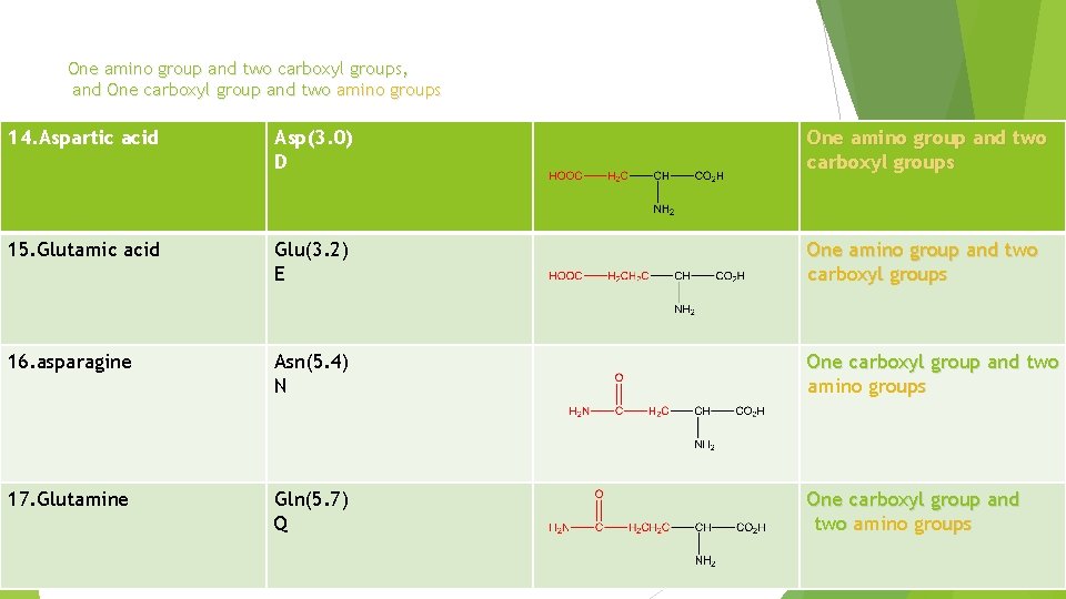 One amino group and two carboxyl groups, and One carboxyl group and two amino