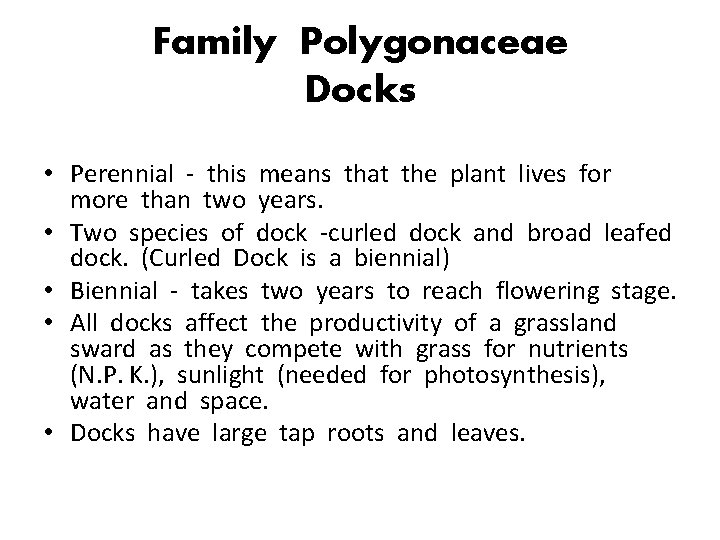 Family Polygonaceae Docks • Perennial - this means that the plant lives for more