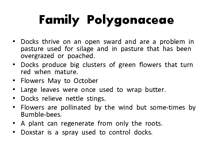 Family Polygonaceae • Docks thrive on an open sward and are a problem in