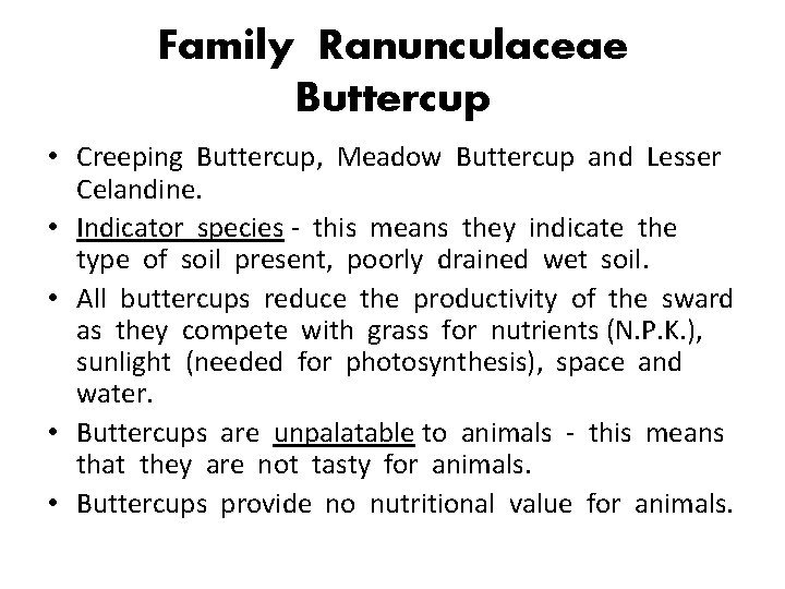 Family Ranunculaceae Buttercup • Creeping Buttercup, Meadow Buttercup and Lesser Celandine. • Indicator species