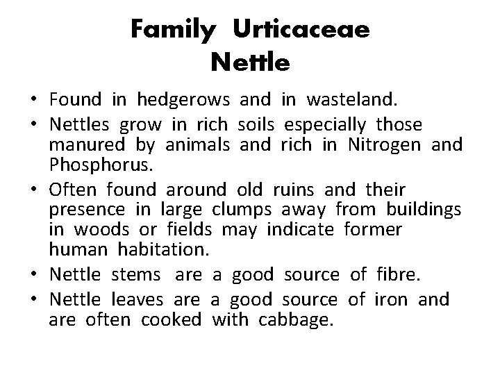 Family Urticaceae Nettle • Found in hedgerows and in wasteland. • Nettles grow in