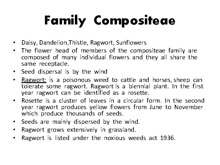 Family Compositeae • Daisy, Dandelion, Thistle, Ragwort, Sunflowers • The flower head of members