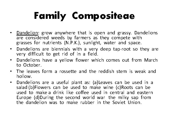 Family Compositeae • Dandelion: grow anywhere that is open and grassy. Dandelions are considered