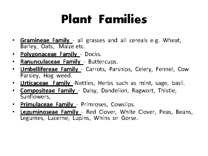 Plant Families • Gramineae Family - all grasses and all cereals e. g. Wheat,