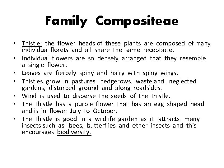 Family Compositeae • Thistle: the flower heads of these plants are composed of many