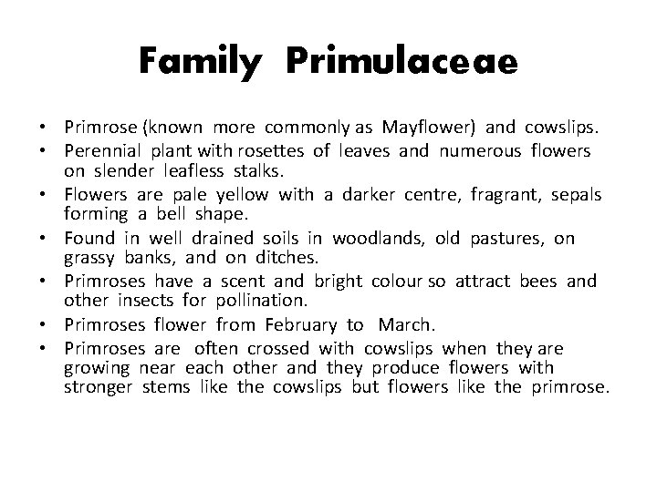 Family Primulaceae • Primrose (known more commonly as Mayflower) and cowslips. • Perennial plant