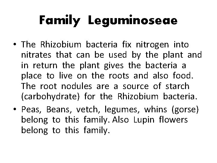 Family Leguminoseae • The Rhizobium bacteria fix nitrogen into nitrates that can be used