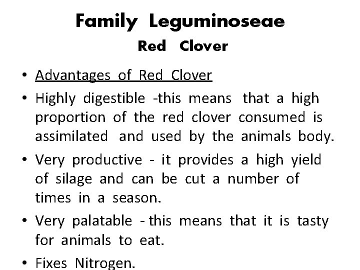 Family Leguminoseae Red Clover • Advantages of Red Clover • Highly digestible -this means