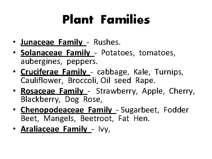 Plant Families • Junaceae Family - Rushes. • Solanaceae Family - Potatoes, tomatoes, aubergines,