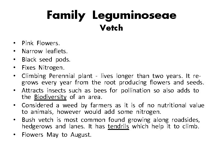 Family Leguminoseae Vetch • • • Pink Flowers. Narrow leaflets. Black seed pods. Fixes