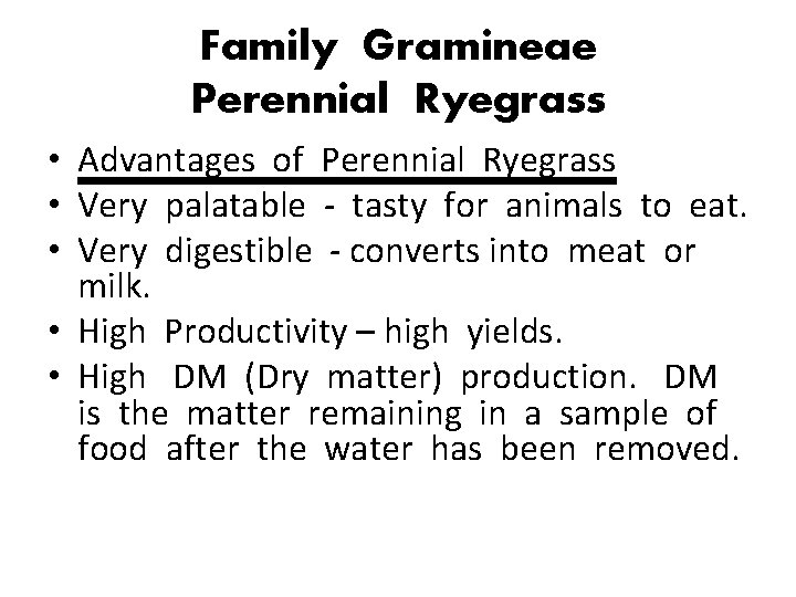 Family Gramineae Perennial Ryegrass • Advantages of Perennial Ryegrass • Very palatable - tasty