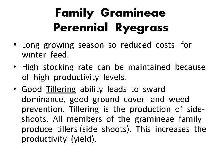 Family Gramineae Perennial Ryegrass • Long growing season so reduced costs for winter feed.