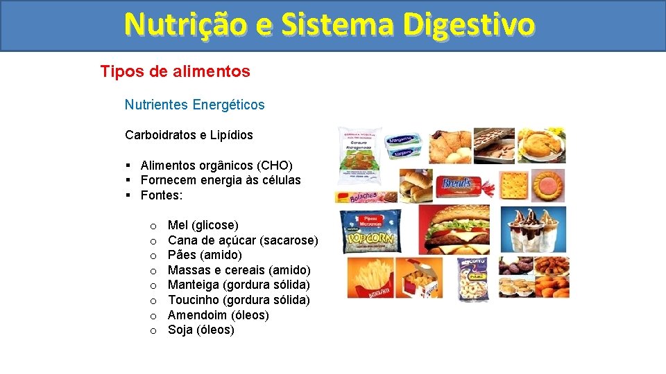 Nutrição ee Sistema Digestivo Tipos de alimentos Nutrientes Energéticos Carboidratos e Lipídios § Alimentos