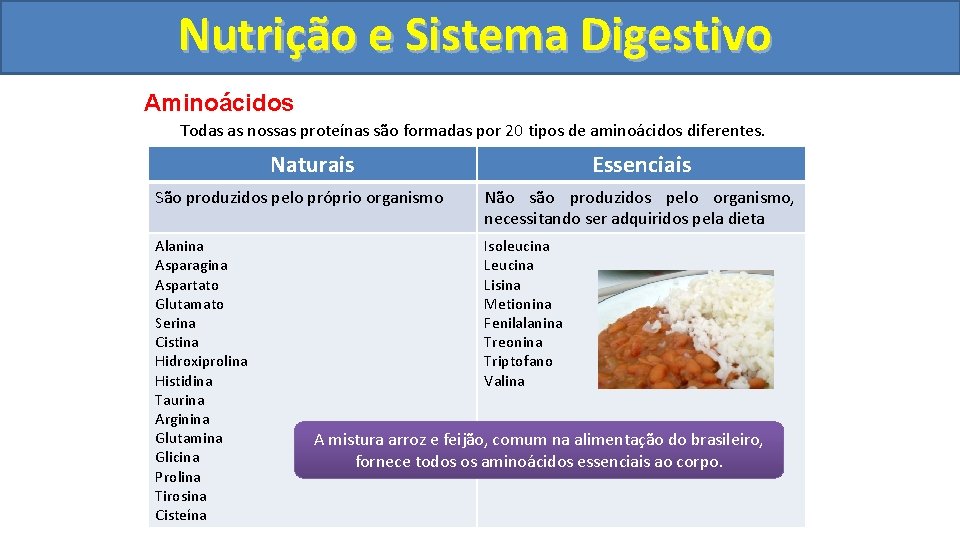 Nutrição ee Sistema Digestivo Aminoácidos Todas as nossas proteínas são formadas por 20 tipos