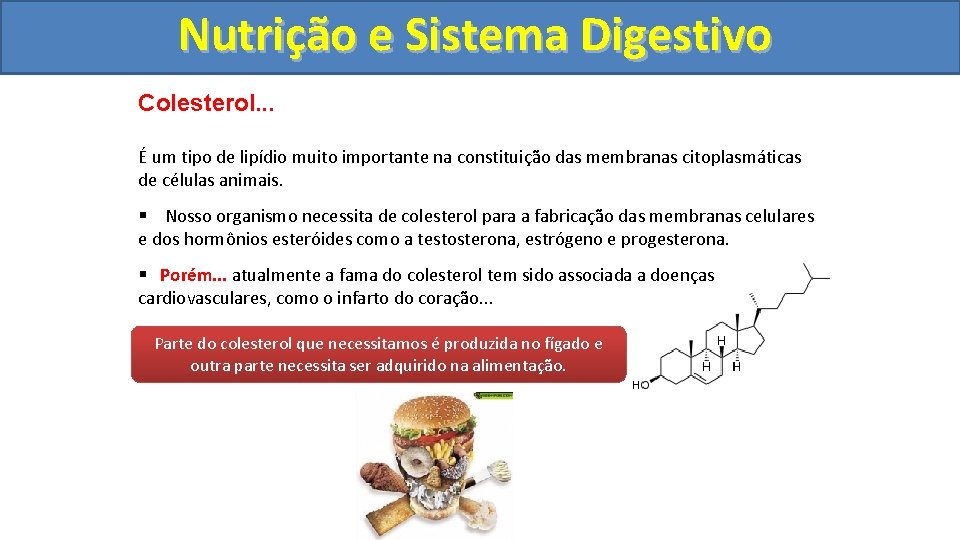 Nutrição ee Sistema Digestivo Colesterol. . . É um tipo de lipídio muito importante