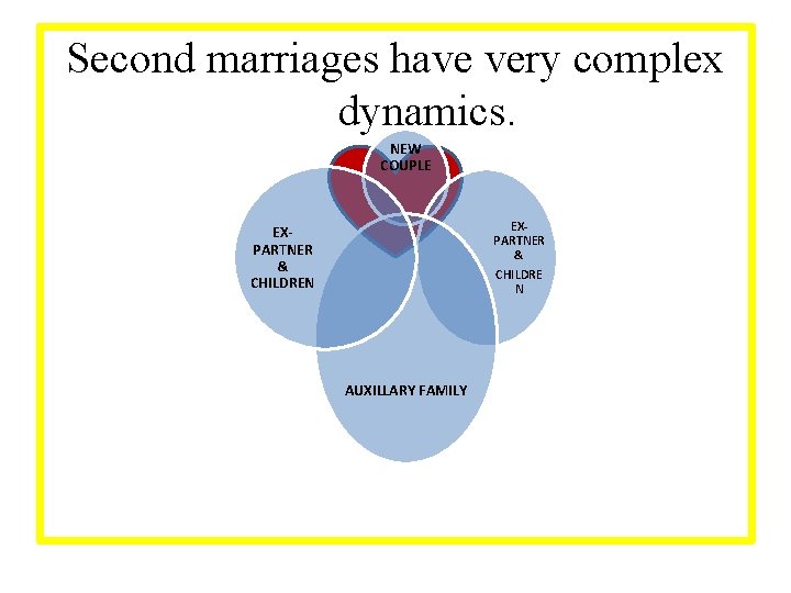 Second marriages have very complex dynamics. NEW COUPLE EXPARTNER & CHILDRE N EXPARTNER &