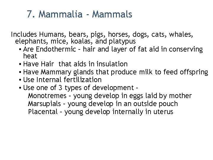 7. Mammalia - Mammals Includes Humans, bears, pigs, horses, dogs, cats, whales, elephants, mice,