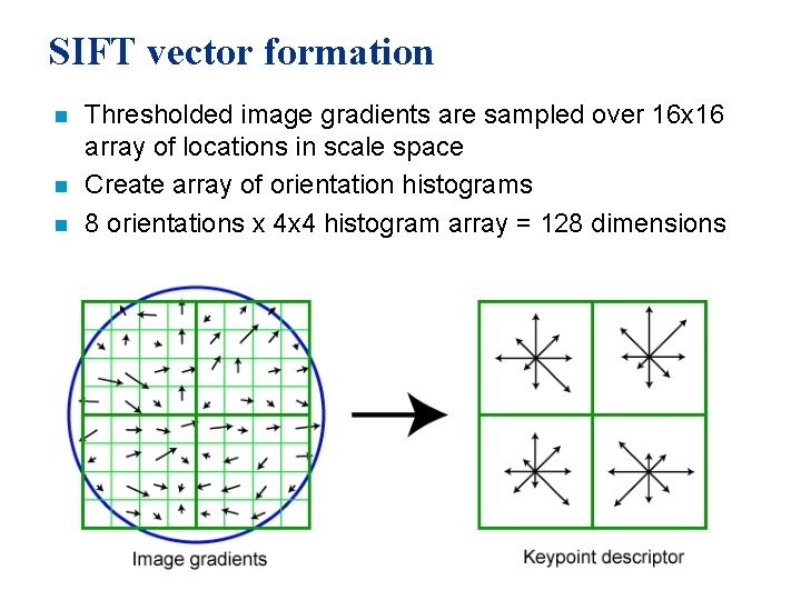 SIFT vector formation n Thresholded image gradients are sampled over 16 x 16 array