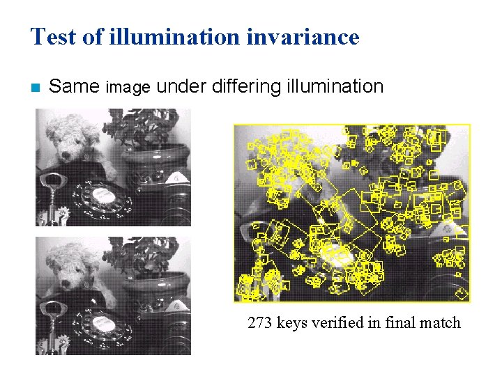 Test of illumination invariance n Same image under differing illumination 273 keys verified in