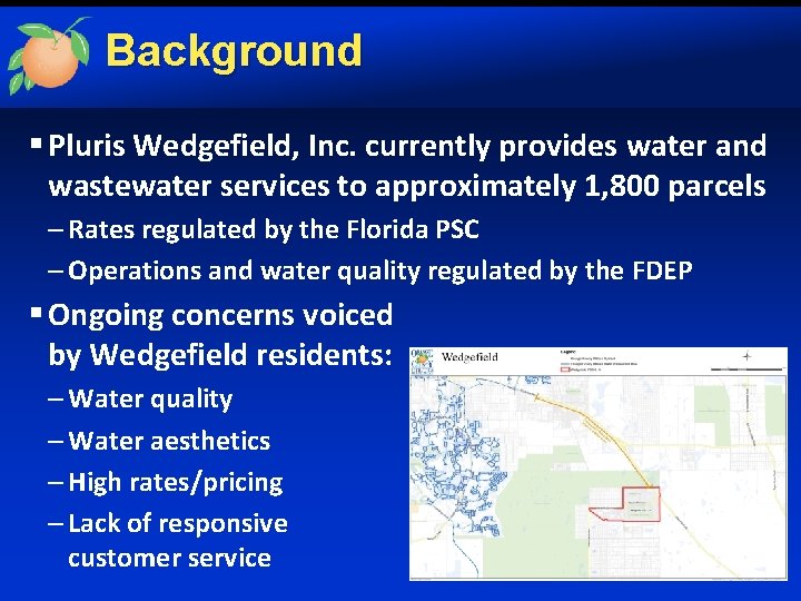 Background § Pluris Wedgefield, Inc. currently provides water and wastewater services to approximately 1,