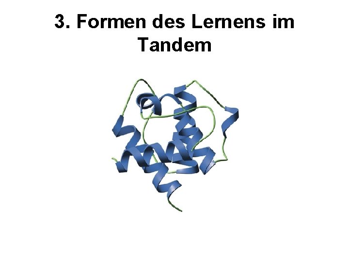 3. Formen des Lernens im Tandem 