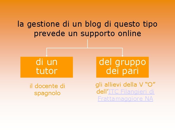 la gestione di un blog di questo tipo prevede un supporto online di un